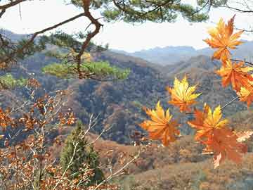 王宇燕任山东省委副书记